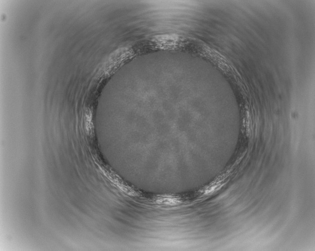 X0000059100610200510101220