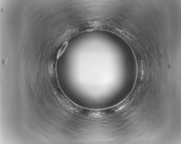 X0000059100611200510101220