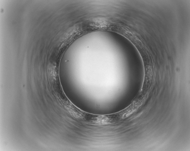 X0000059100612200510101220