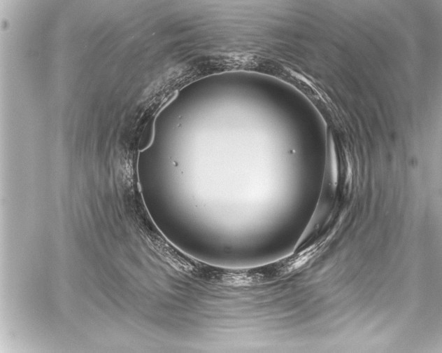 X0000059100613200510101220