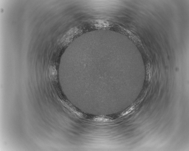 X0000059100614200510101220