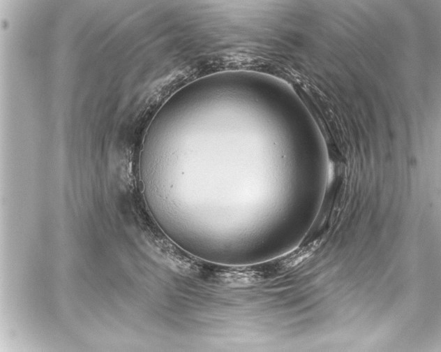 X0000059100615200510101220