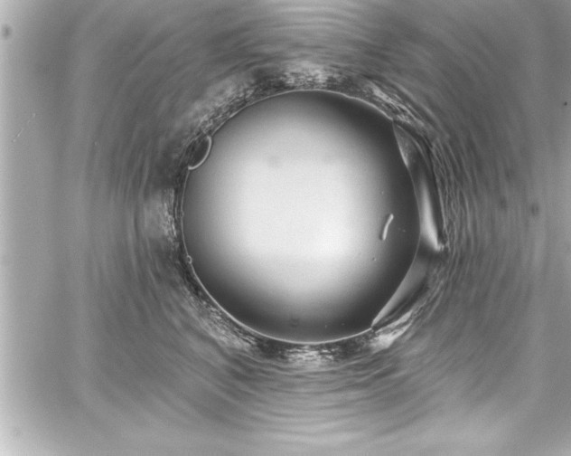 X0000059100616200510101220