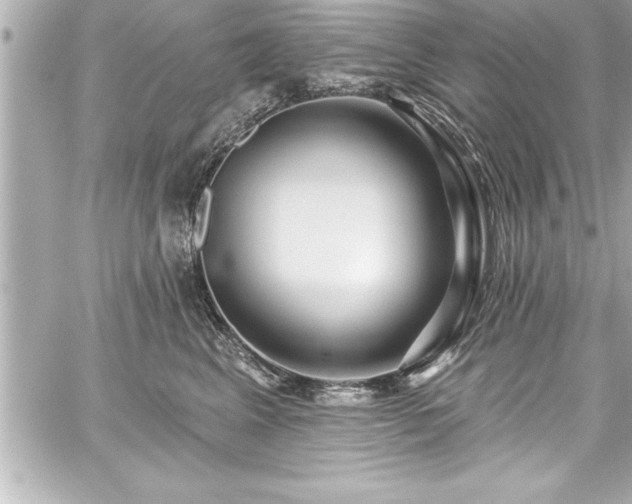 X0000059100617200510101220