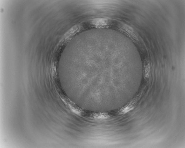 X0000059100618200510101220