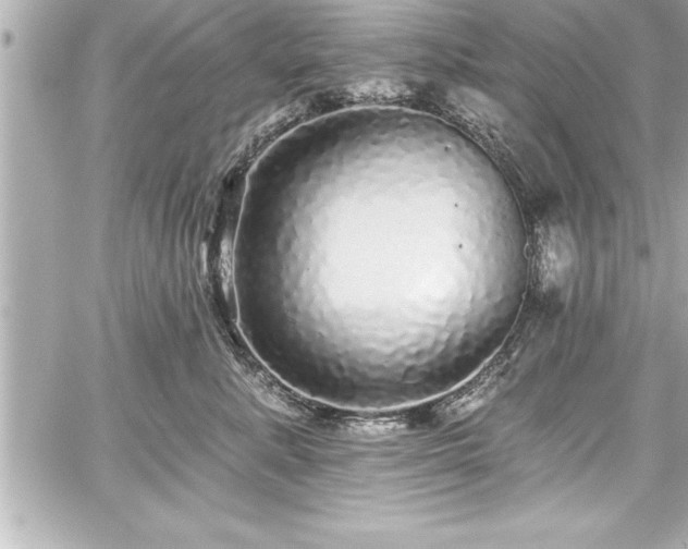 X0000059100619200510101220