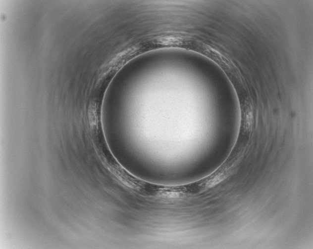 X0000059100620200510101220