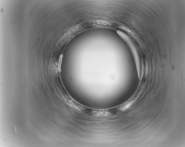 X0000059100621200510101220