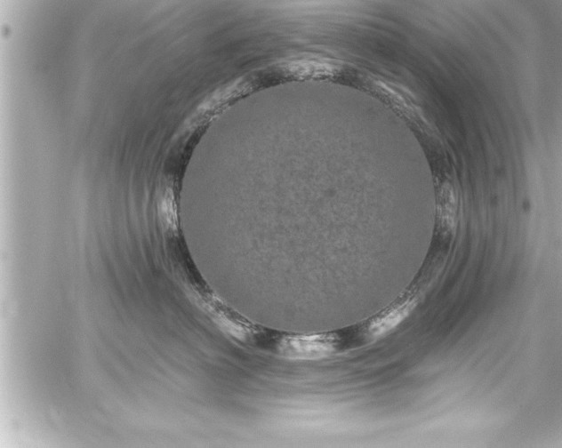 X0000059100622200510101220