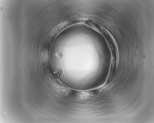 X0000059100623200510101220