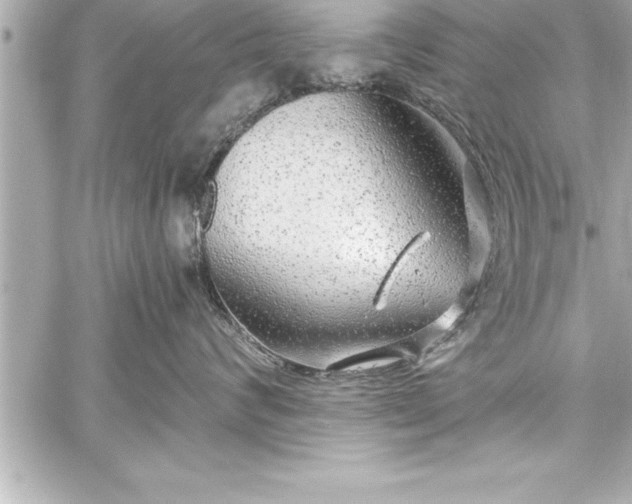 X0000059100624200510101220