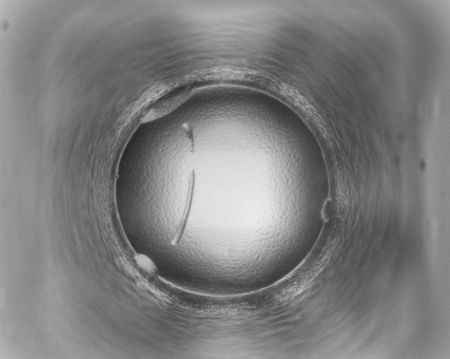 X0000059100625200510101219