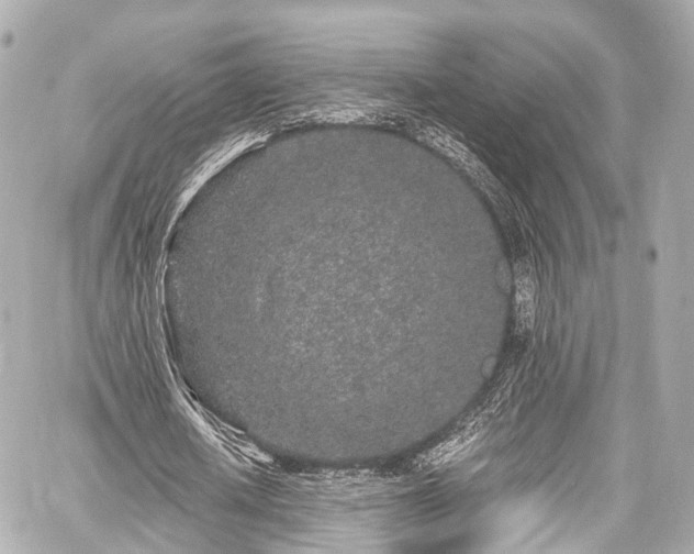 X0000059100626200510101219