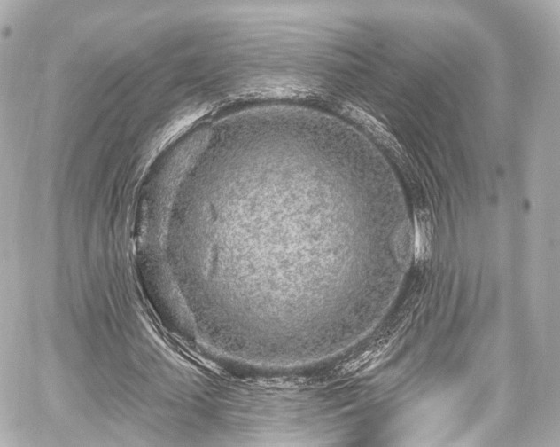 X0000059100627200510101219