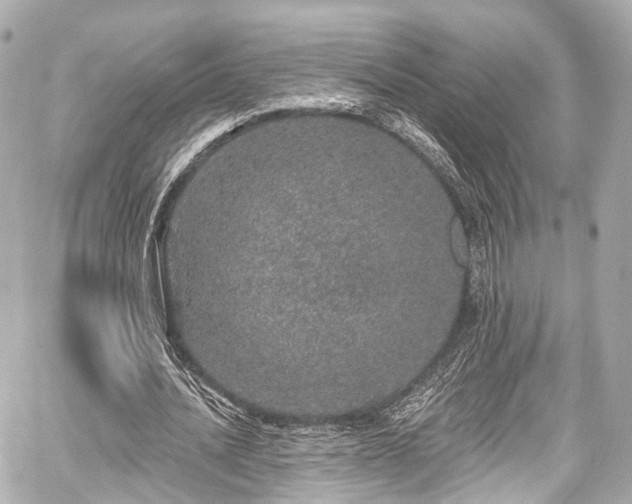 X0000059100628200510101219