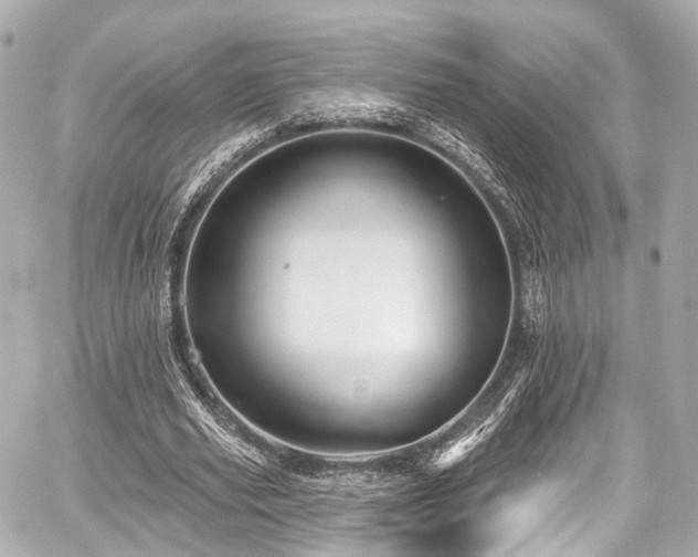 X0000059100629200510101219