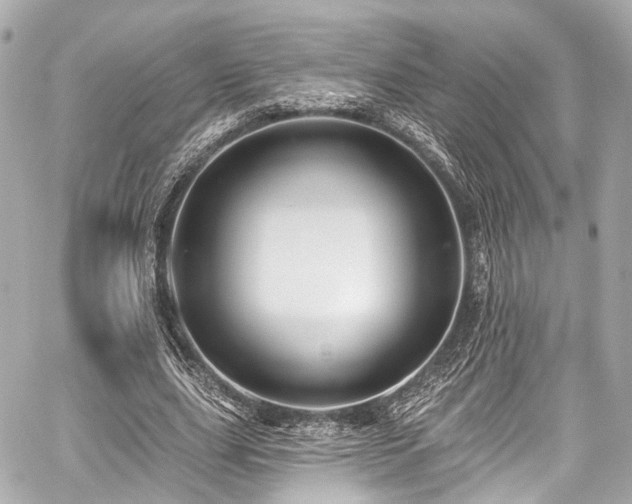 X0000059100631200510101219