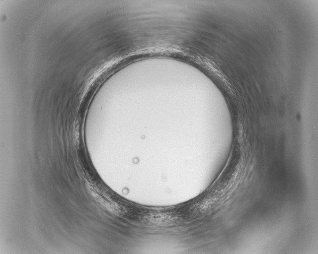 X0000059100632200510101219