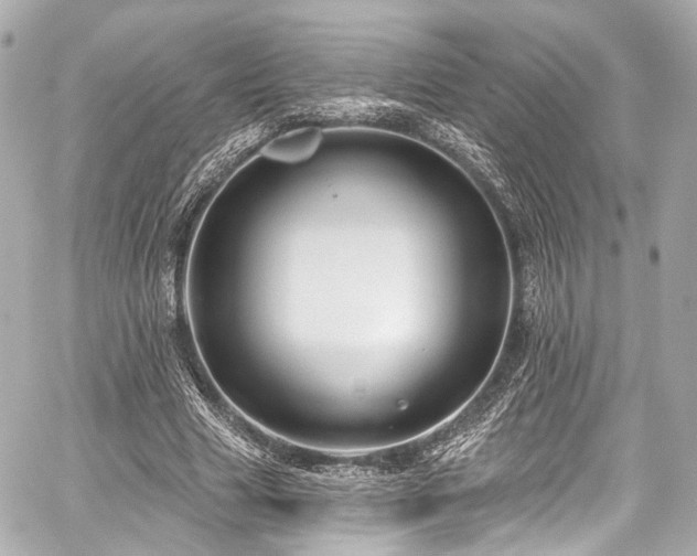 X0000059100633200510101219