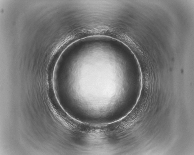 X0000059100634200510101219