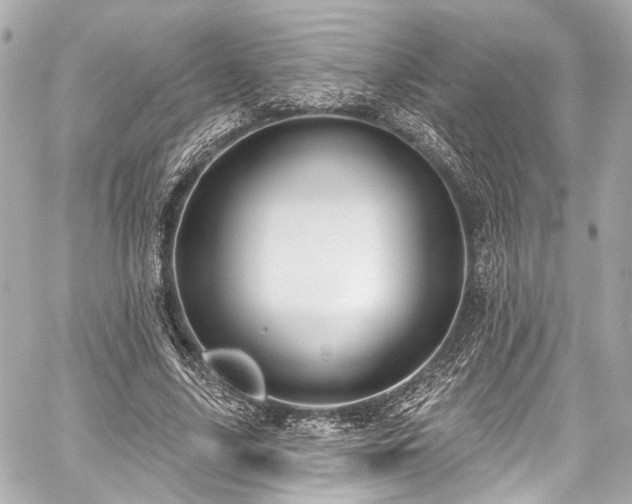 X0000059100635200510101219