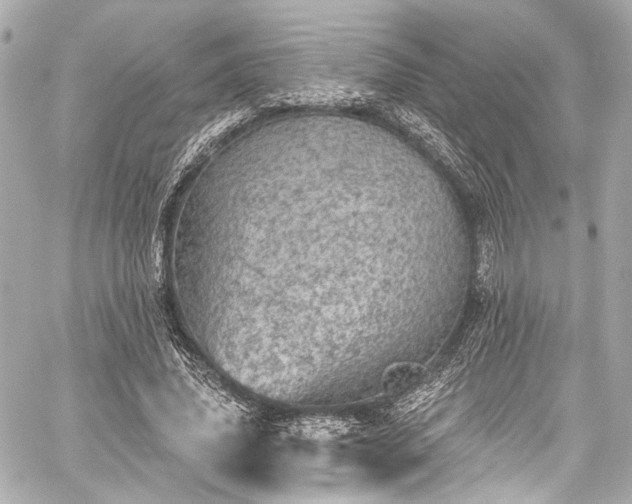 X0000059100636200510101219