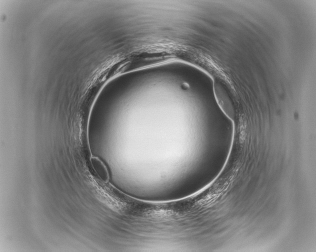 X0000059100637200510101219