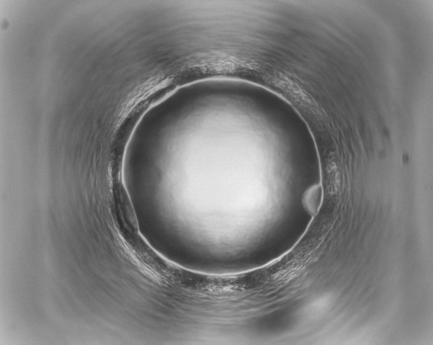 X0000059100638200510101219