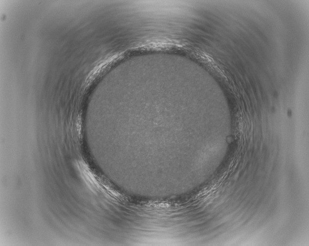 X0000059100640200510101219