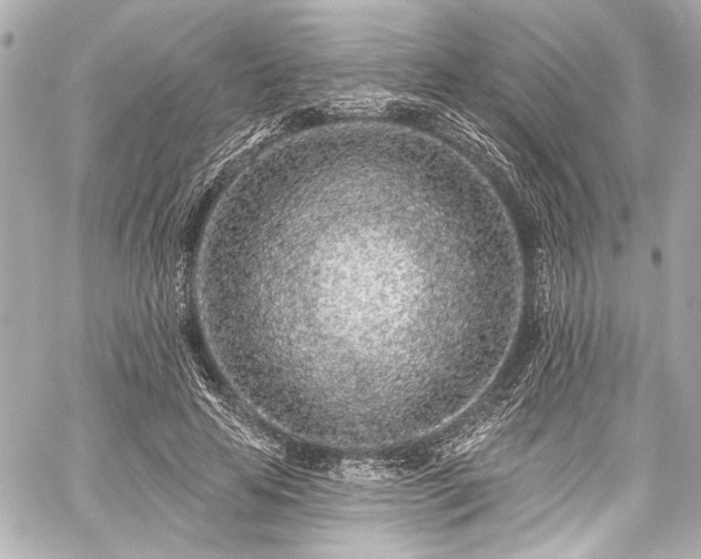 X0000059100641200510101219