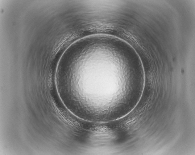 X0000059100642200510101219