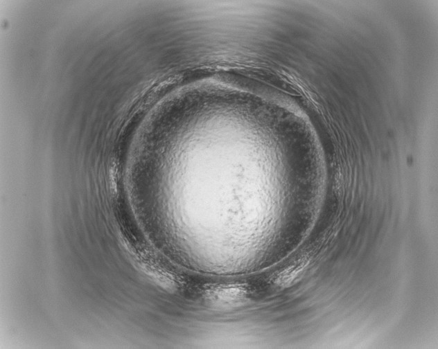 X0000059100643200510101219