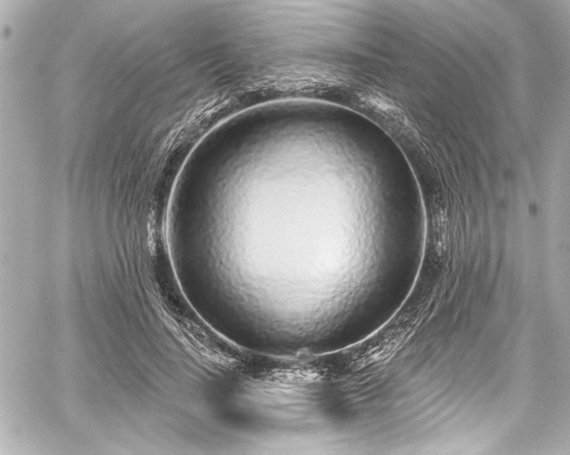 X0000059100644200510101219