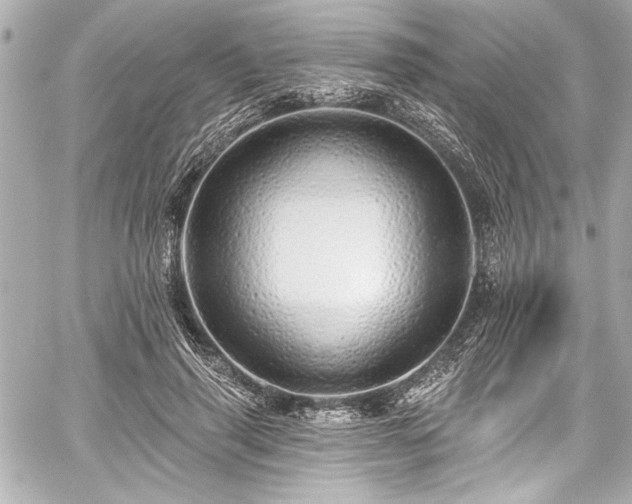 X0000059100645200510101219