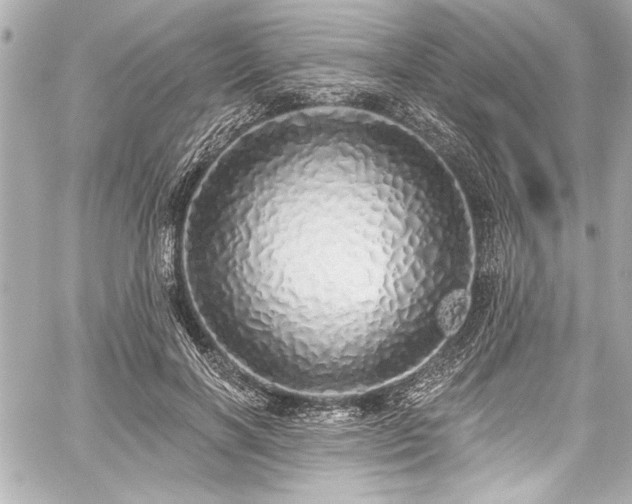 X0000059100646200510101219