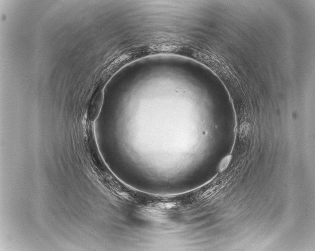 X0000059100647200510101219