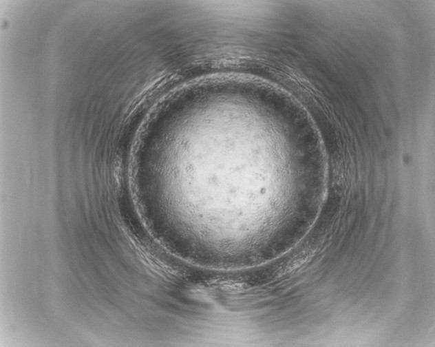 X0000059100648200510101219