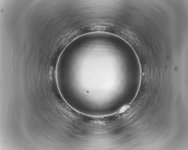 X0000059100649200510101219