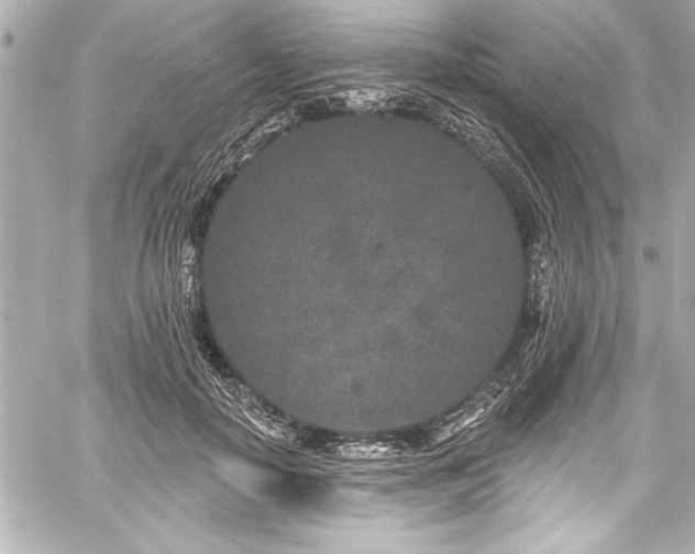 X0000059100650200510101219