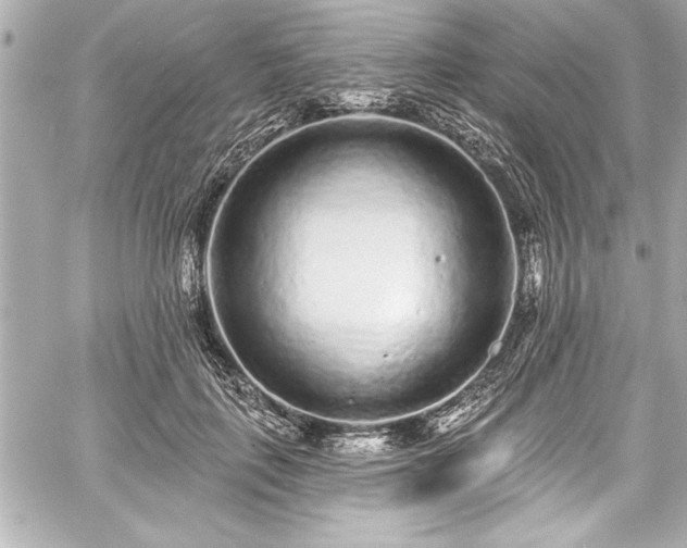 X0000059100651200510101219