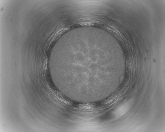 X0000059100652200510101219