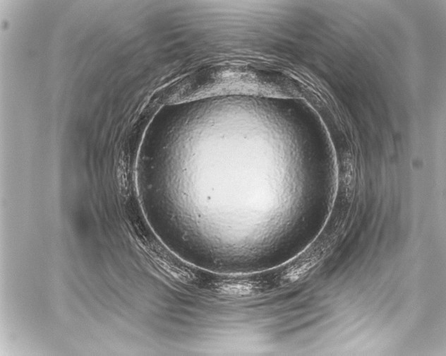 X0000059100653200510101219