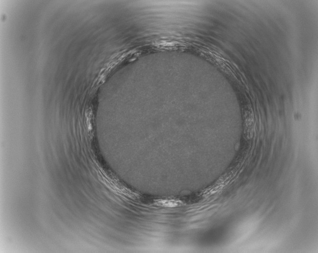 X0000059100654200510101219