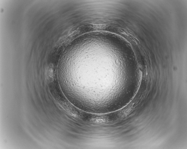 X0000059100655200510101219