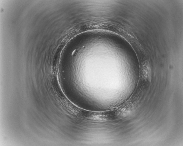 X0000059100657200510101220