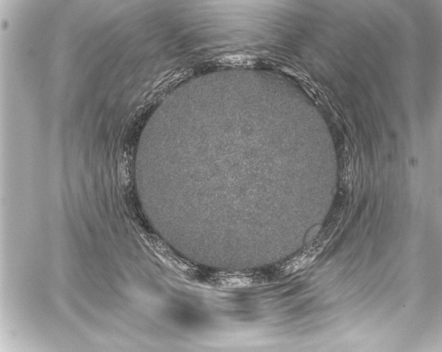 X0000059100658200510101220