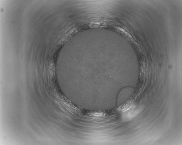 X0000059100659200510101220