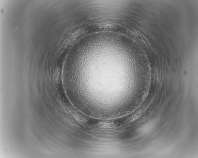 X0000059100660200510101220