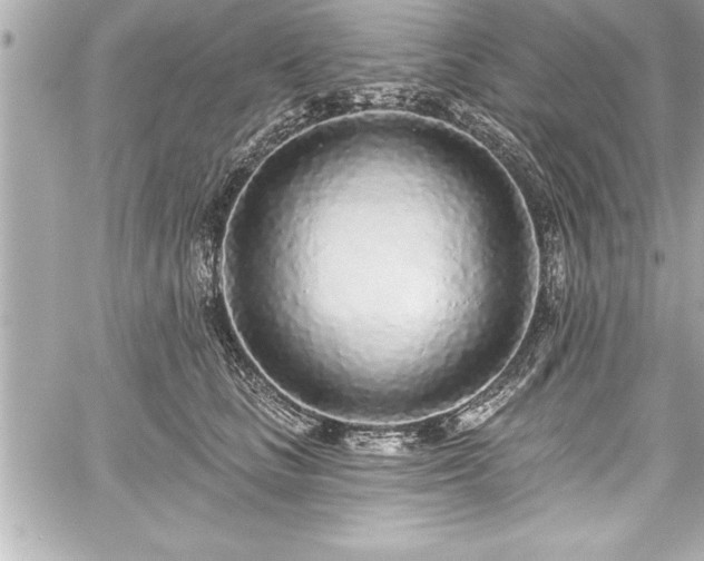 X0000059100661200510101220