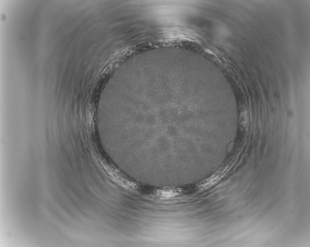 X0000059100662200510101220